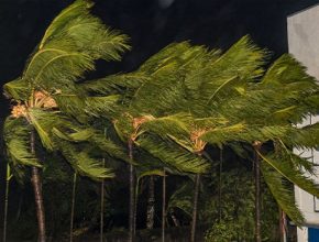 ১৬ জেলায় ঝড়-বৃষ্টির পূর্বাভাস