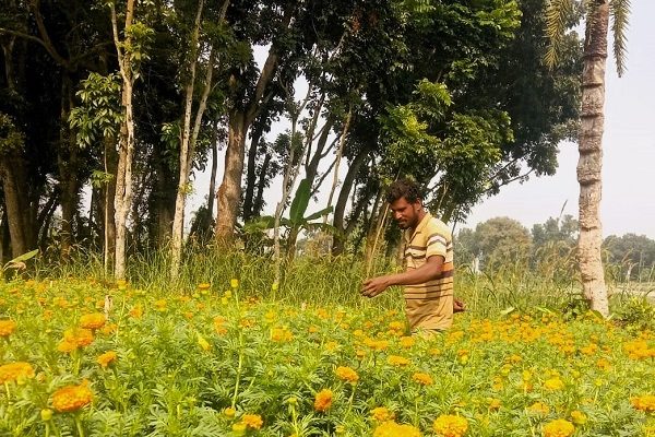 ফুলের চাষ সম্প্রসারণে সহযোগিতা করছে স্ট্যান্ডার্ড চার্টার্ড